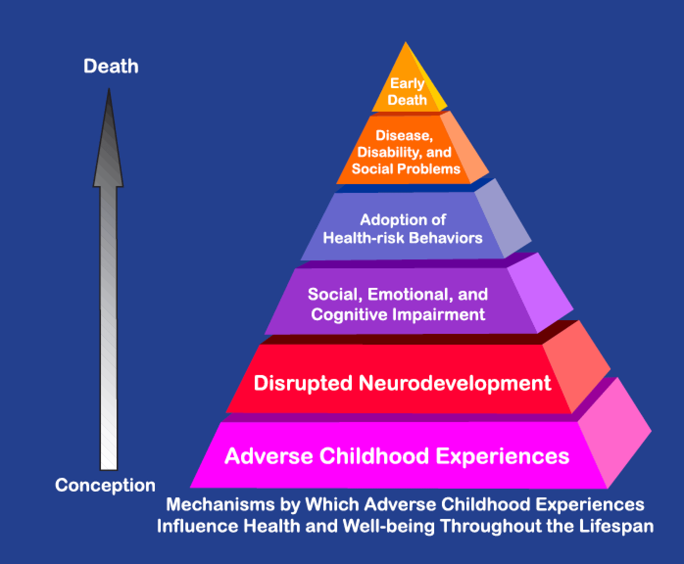 The Adverse Childhood Experiences Study Dr Vincent Felitti